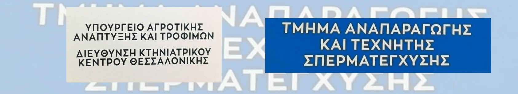 Πρακτική άσκηση φοιτητών